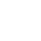 Home icon
